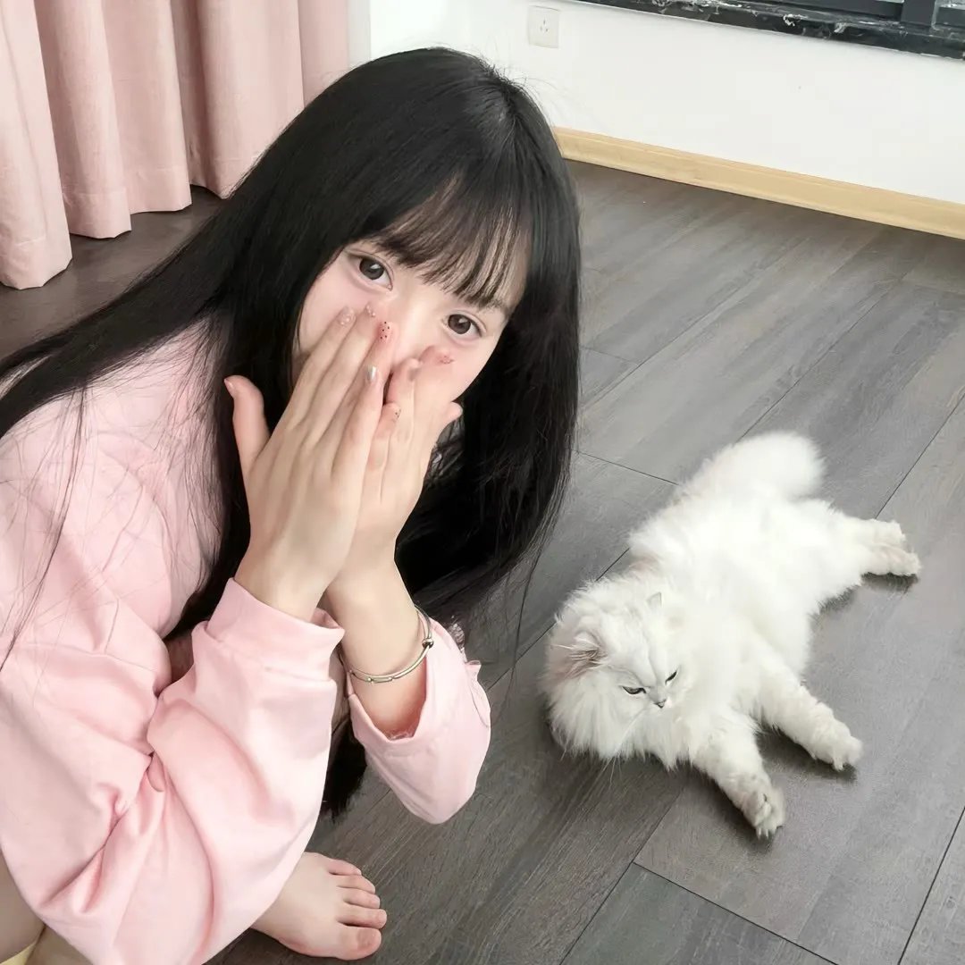 摩登原始人第四季